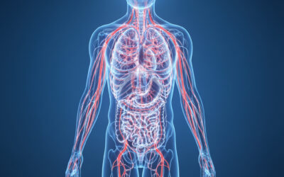 ¿ Es la artrosis? ¿ Es la postura? Descubre como tu sistema nervioso gobierna el dolor cervical y lumbar.